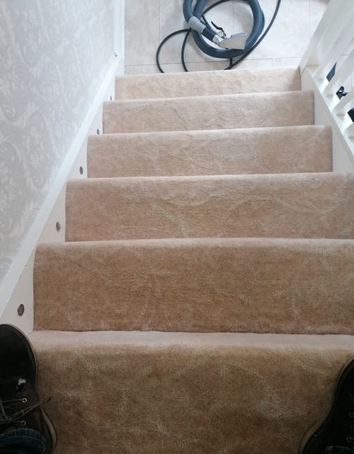stairs after cleaning the carpet